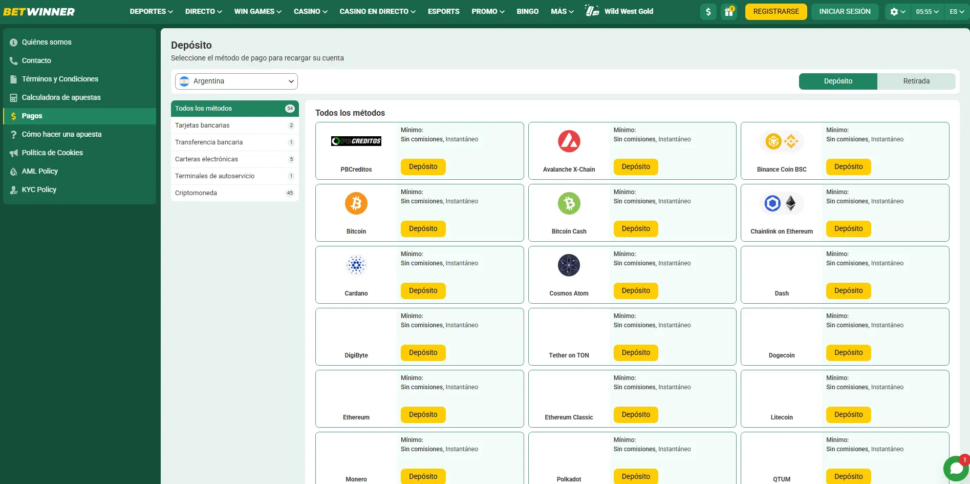 Caja de BetWinner para Argentina con los métodos de depósito disponibles